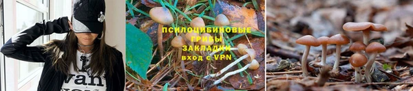 герыч Алексеевка