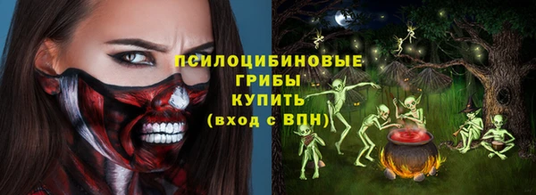 ГАЛЛЮЦИНОГЕННЫЕ ГРИБЫ Алексин