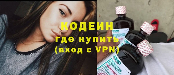 молекула духа Няндома